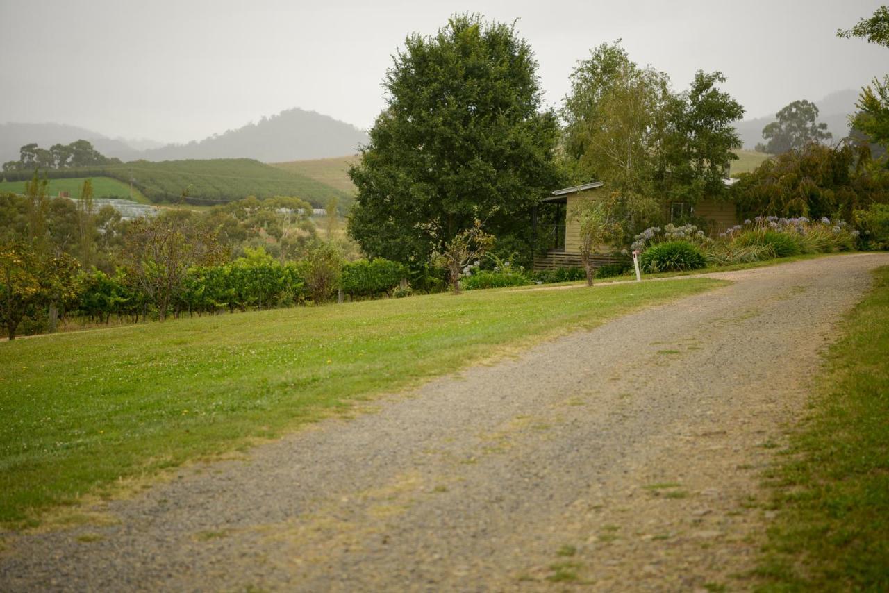 Borrodell Vineyard 호텔 오렌지 외부 사진