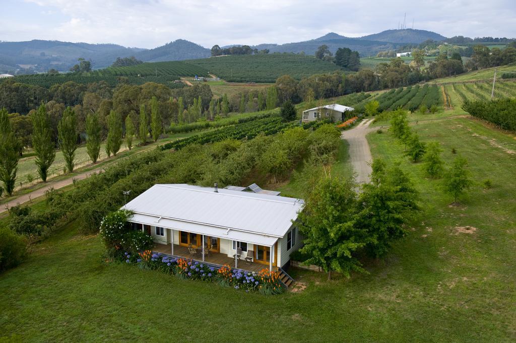 Borrodell Vineyard 호텔 오렌지 객실 사진