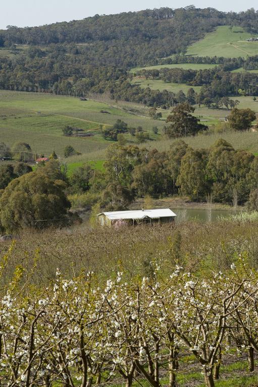 Borrodell Vineyard 호텔 오렌지 외부 사진