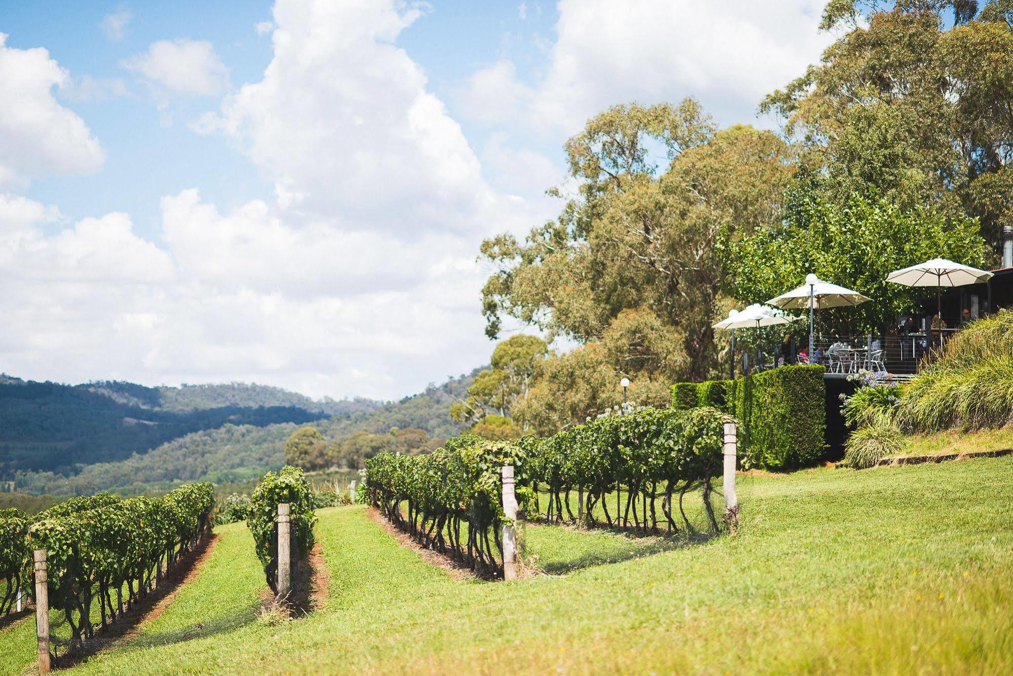 Borrodell Vineyard 호텔 오렌지 외부 사진