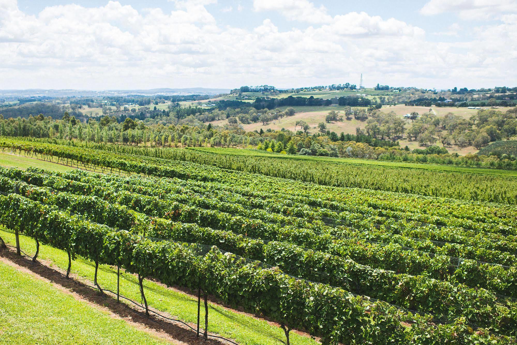 Borrodell Vineyard 호텔 오렌지 외부 사진